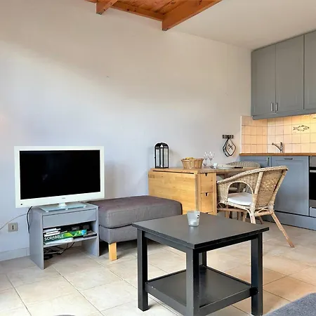 Duplex 100m Plage, Terrasse, Parking, 4 Couchages - - Fr-1-251-533 Le Lavandou